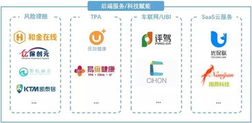 从助贷到助保 物联网技术服务的市场掘金空间分析